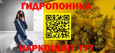 Альфа ПВП Будённовск