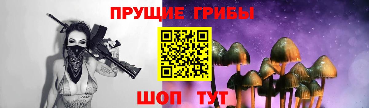Галлюциногенные грибы MAGIC MUSHROOMS  Вход с VPN  Шали 